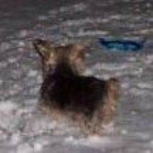 Meet your Posher, Terry